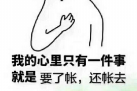 福鼎企业清欠服务